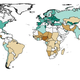 Forests are generally growing back in more developed countries.